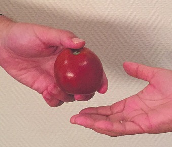 Der Apfel ist in unserer Sprache ein Symbol für viele Entwicklungen Foto: pr