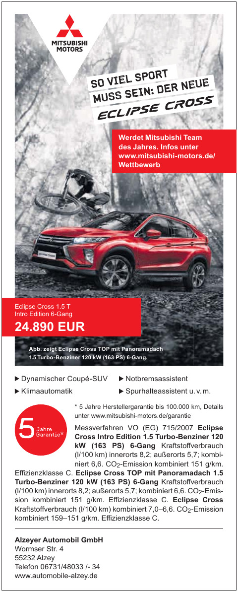 Alzeyer Automobil GmbH Alzeyer Automobil GmbH