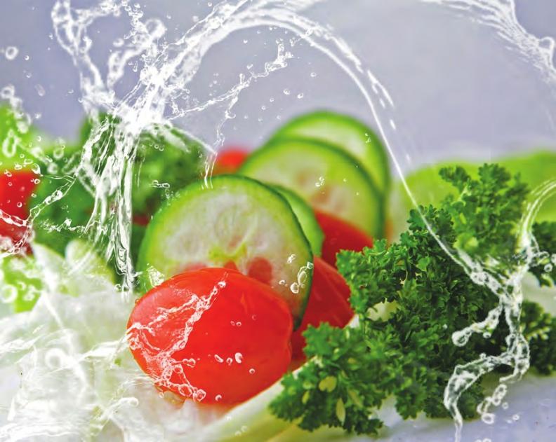 Die Salatküche punktet das ganze Jahr über mit feinen Ölen und saisonalen Genüssen. Gutes Essen muss aber nicht rein vegetarisch sein. Auch Fisch und Fleisch dürfen dazugehören Foto: Pixabay