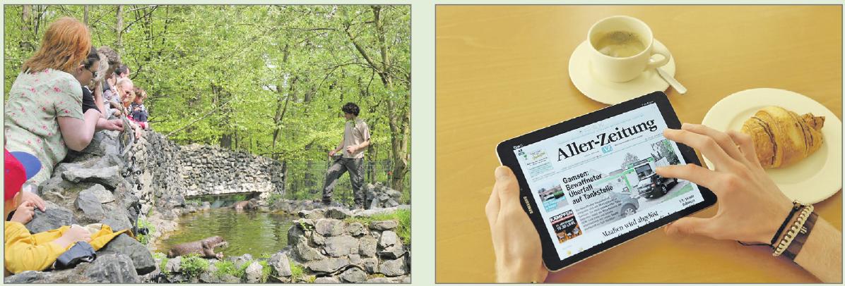 Beim Infotag zu gewinnen gibt es sowohl Eintrittskarten zum Beispiel fürs Otter-Zentrum (l.) als auch ein iPad. Photowerk Beim Infotag zu gewinnen gibt es sowohl Eintrittskarten zum Beispiel fürs Otter-Zentrum (l.) als auch ein iPad. Photowerk