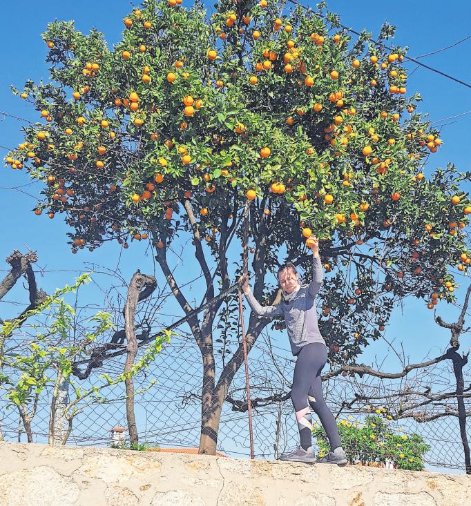 Entschädigung für viele Strapazen: An einer Kirche entdeckten Michaela und Kristin einen Orangen-Baum mit vielen saftigen Früchten. PRIVAT Entschädigung für viele Strapazen: An einer Kirche entdeckten Michaela und Kristin einen Orangen-Baum mit vielen saftigen Früchten. PRIVAT