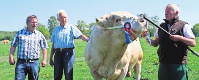 Wieder mit dabei: Uckermärkerzuchtbulle Emanuel. FOTOS: BARK Wieder mit dabei: Uckermärkerzuchtbulle Emanuel. FOTOS: BARK
