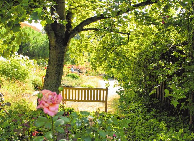 Im Sommer findet man in den Parks eine große Blütenpracht vor, wie hier im Herzogenriedpark... Im Sommer findet man in den Parks eine große Blütenpracht vor, wie hier im Herzogenriedpark...