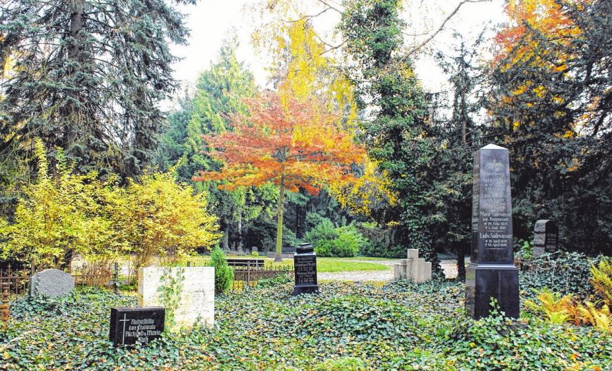 Der Alte Friedhof in Greifswald begeht im September sein 200-jähriges Bestehen. Der Alte Friedhof in Greifswald begeht im September sein 200-jähriges Bestehen.
