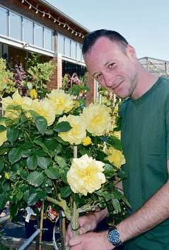 Rosen in Hülle und Fülle bietet Martin Rathert in seinem Pflanzenparadies in Hasloh in der Kieler Straße 5. Hier zeigt er eine „Friesia“ mit ihren großen Blüten