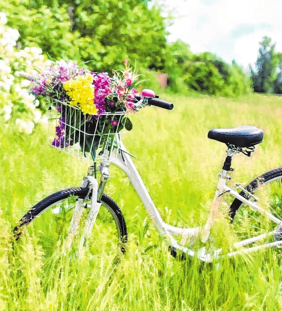 Mit dem Fahrrad das satte Grün erkunden. Bild: Pixabay Mit dem Fahrrad das satte Grün erkunden. Bild: Pixabay