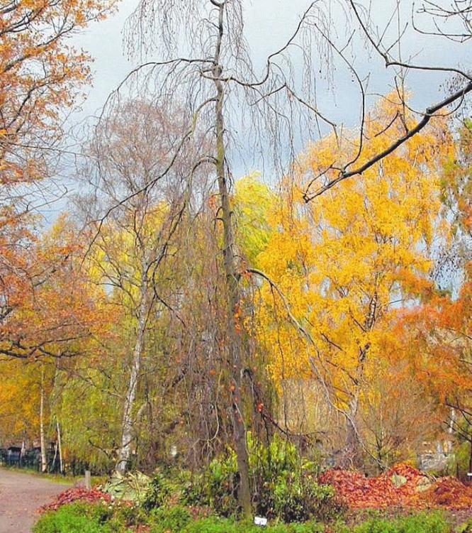 Die Farben des Herbstes. Szene mit Iris Kunz und Udo Schneider. Foto Udo Krause Foto: Zoo Stralsund Die Farben des Herbstes. Szene mit Iris Kunz und Udo Schneider. Foto Udo Krause Foto: Zoo Stralsund