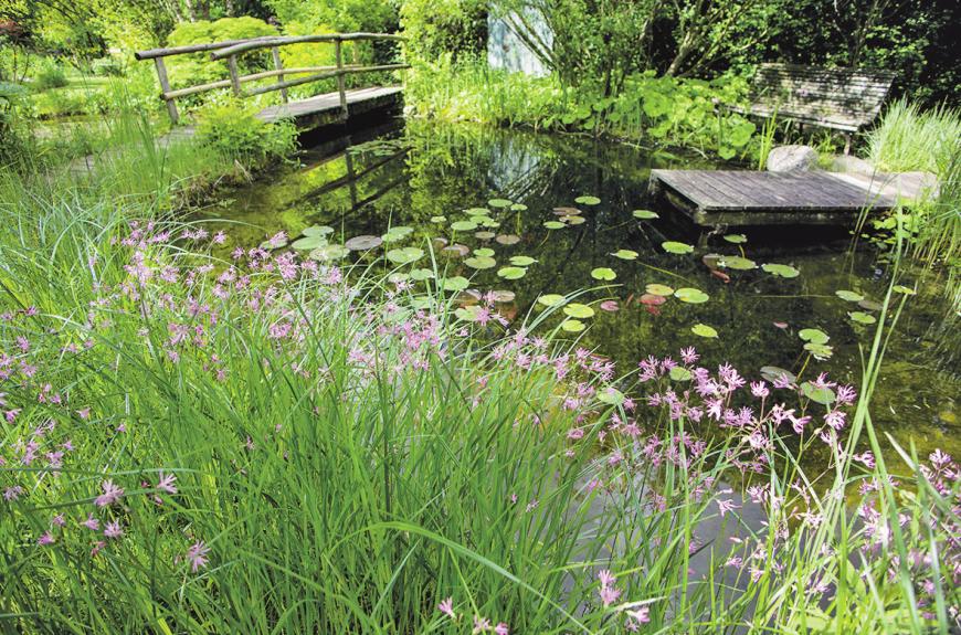 Ein Gartenteich ist ein ganz eigenes Ökosystem, das der Pflege bedarf. Ein Gartenteich ist ein ganz eigenes Ökosystem, das der Pflege bedarf.
