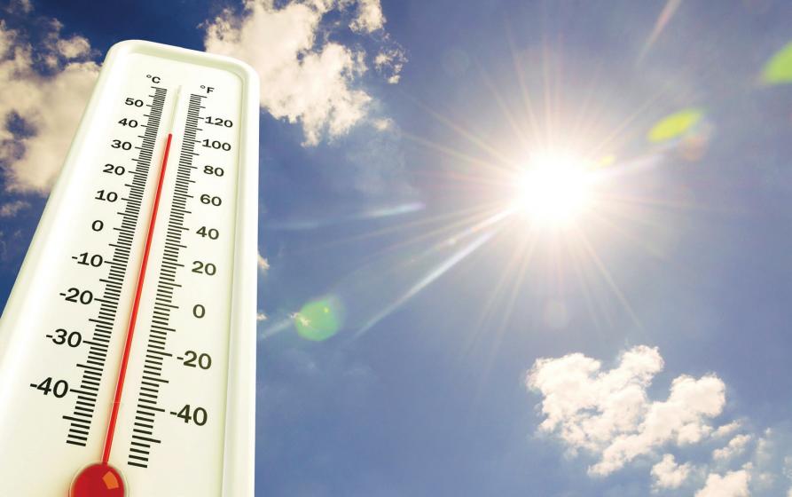 Wer schon ein paar kleine Tipps beherzigt, kommt ohne große Probleme durch die heißesten Sommertage Wer schon ein paar kleine Tipps beherzigt, kommt ohne große Probleme durch die heißesten Sommertage