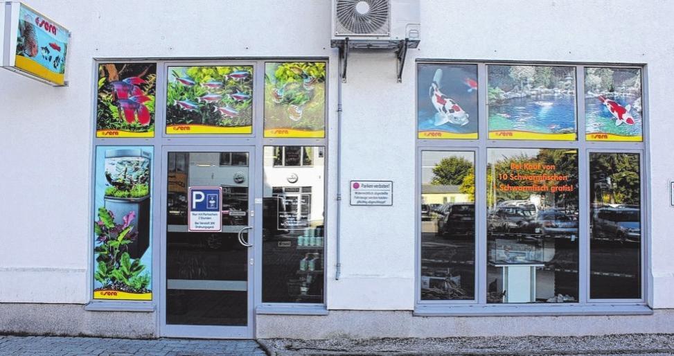 Aquarianer sollten das City-Center in Bergen auf Rügen nicht umgehen, denn dort bietet Ihnen das Team Aquaristik alles, was Sie für ein freundliches Aquarium brauchen. Foto: Pfaffe Aquarianer sollten das City-Center in Bergen auf Rügen nicht umgehen, denn dort bietet Ihnen das Team Aquaristik alles, was Sie für ein freundliches Aquarium brauchen. Foto: Pfaffe