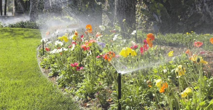 Mit einer regelmäßigen Bewässerung blüht der Garten regelrecht auf. Foto: djd/www.rainpro.de/Hunter Mit einer regelmäßigen Bewässerung blüht der Garten regelrecht auf. Foto: djd/www.rainpro.de/Hunter