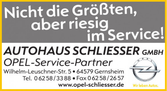 Autohaus Schliesser GmbH