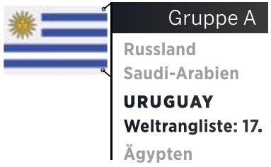  Top-Uruguai-Stars bei der WM 2018: Eine Familie mit Supersturm Image 2