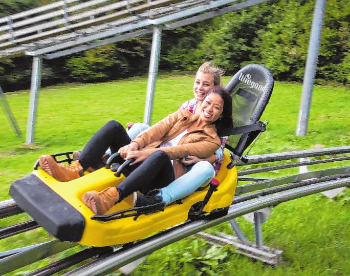 Die 1000 Meter lange Sommerrodelbahn gehört zu den Top-Ausflugszielen im Odenwald. Bild: Wiegand Erlebnisberge Die 1000 Meter lange Sommerrodelbahn gehört zu den Top-Ausflugszielen im Odenwald. Bild: Wiegand Erlebnisberge