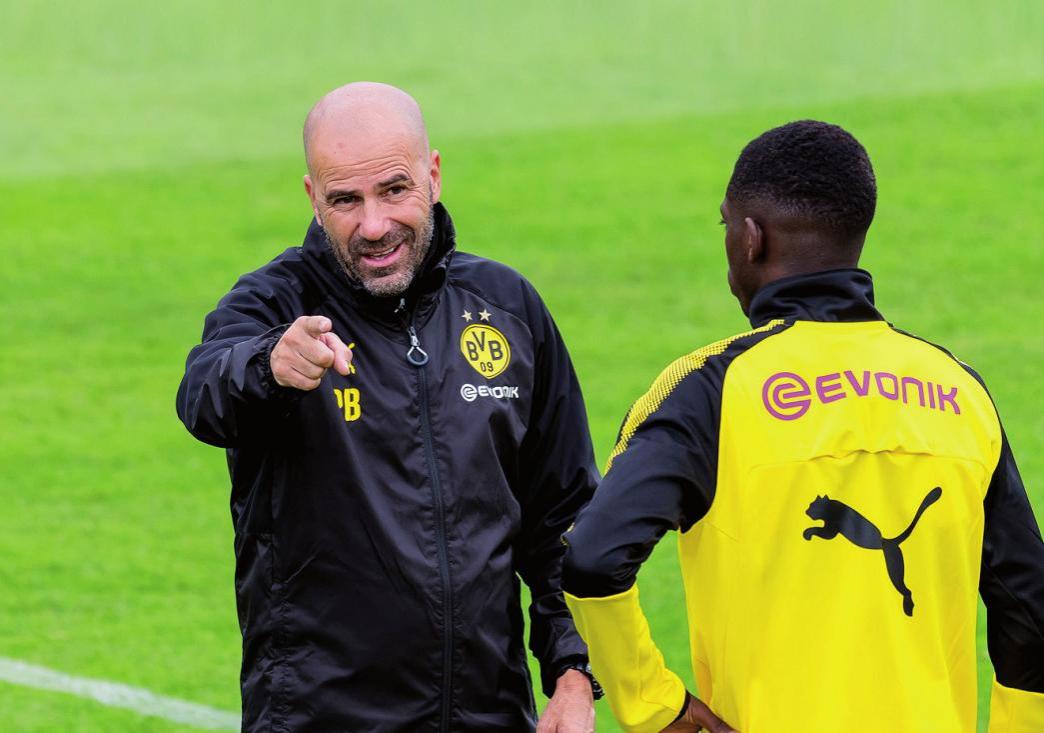 Der andere Oranje-Coach: Peter Bosz ist einer von zwei niederländischen Bundesliga-Trainern.