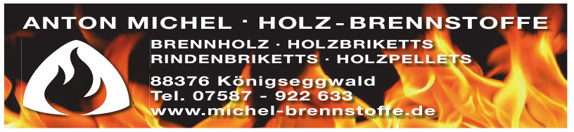 Anton Michel . Holz-Brennstoffe