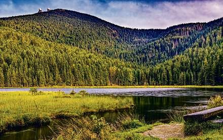 Am nördlichen Arberhang, inmitten eines 403 Hektar großen Naturschutzgebietes, liegt der Kleine Arbersee – ein Moränensee aus der letzten Eiszeit