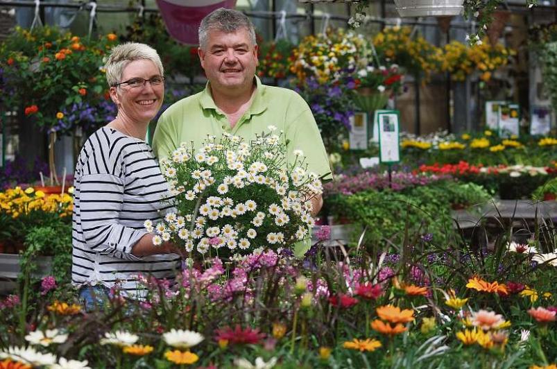 Nina und Jörn Schmidt laden herzlich in ihre Gärtnerei Jenkel ein, in der man den ganzen Sommer lang noch wunderschöne Sommerblumen findet Fotos: Tina Jordan