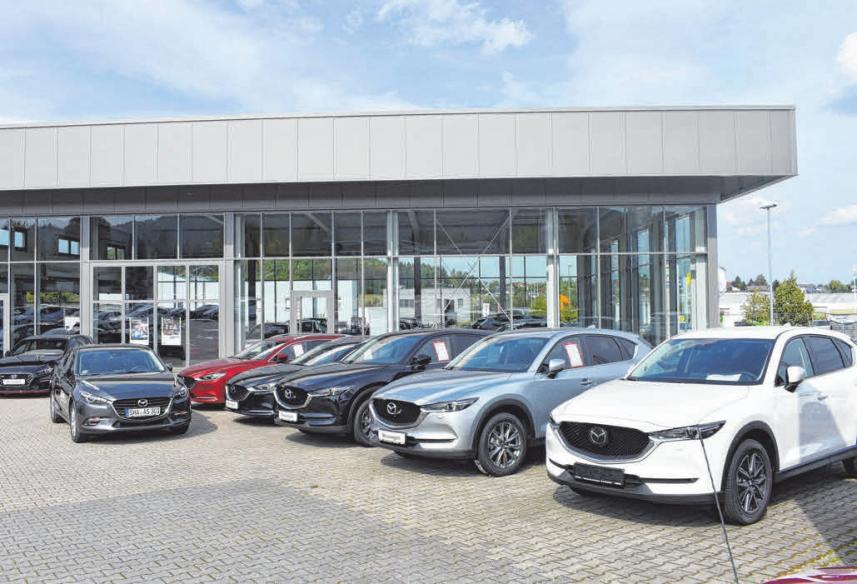 Die beste Auswahl an Pkw gibt’s im Autohaus Sing.