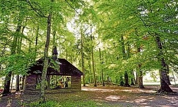Verträumt, idyllisch, liebevoll – Der Luitpoldpark, das grüne Herz, ist bei allen Schwabmünchnern beliebt und ein Ort, wo man Ruhe und Erholung findet. Fotos: Sabine Presnitz/Franzsika Rüttinger Verträumt, idyllisch, liebevoll – Der Luitpoldpark, das grüne Herz, ist bei allen Schwabmünchnern beliebt und ein Ort, wo man Ruhe und Erholung findet. Fotos: Sabine Presnitz/Franzsika Rüttinger