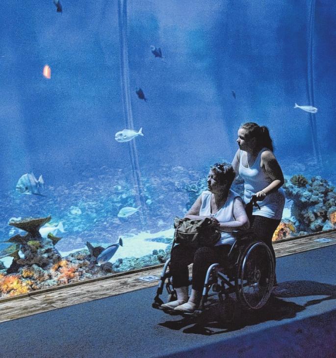 Ein letztes Mal das schillernde Blau des Aquariums im Tierpark Hagenbeck zu erleben, machte Silvia L. aus Lübeck glücklich. Ein letztes Mal das schillernde Blau des Aquariums im Tierpark Hagenbeck zu erleben, machte Silvia L. aus Lübeck glücklich.