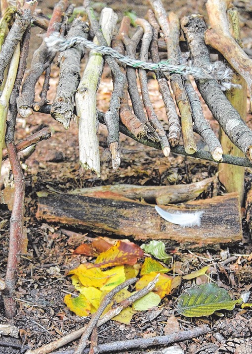 Im Wesloer Forst liegt das Spielzeug im Wald. Im Wesloer Forst liegt das Spielzeug im Wald.