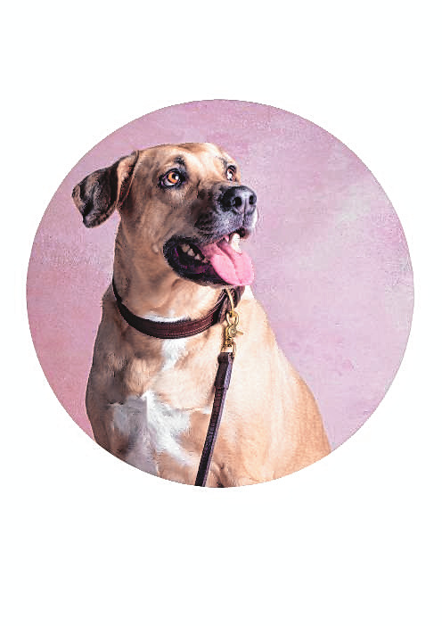 Penny
