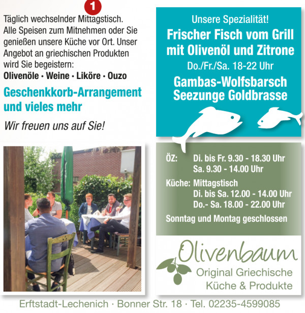 Olivenbaum Olivenbaum