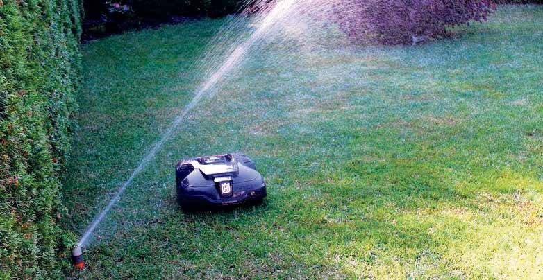 Im Garten Eden Halle/Saalekreis Mitteldeutsche Zeitung