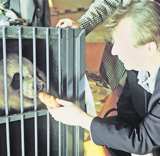 Eberhard Diepgen mit Panda-Bärin Yan Yan 1995 Eberhard Diepgen mit Panda-Bärin Yan Yan 1995