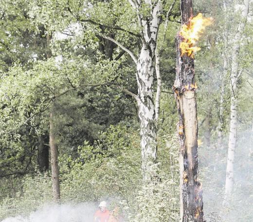 Durch Thermik entstehen gefährliche Winde, die immer wieder neue Feuer entfachen. CITyPRESS24 FOTO- UND PRESSEAGENTUR Durch Thermik entstehen gefährliche Winde, die immer wieder neue Feuer entfachen. CITyPRESS24 FOTO- UND PRESSEAGENTUR