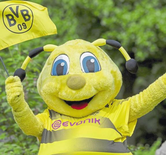 Die Farben Schwarz und Gelb werden auf dem Sportgelände an der Piusstraße den Weg zu den Dortmund-Aktivitäten weisen. Foto: BvB Die Farben Schwarz und Gelb werden auf dem Sportgelände an der Piusstraße den Weg zu den Dortmund-Aktivitäten weisen. Foto: BvB