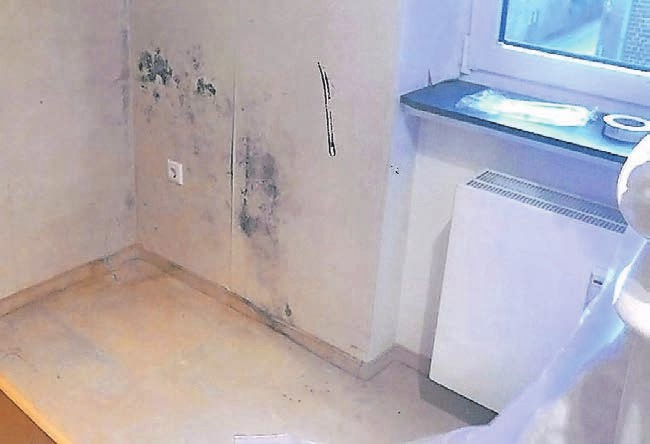 Schimmelpilze im Haus sind nicht nur unansehnlich, sondern auch gesundheitsschädlich. Hier sollte man in jedem Fall einen Fachmann konsultieren. Schimmelpilze im Haus sind nicht nur unansehnlich, sondern auch gesundheitsschädlich. Hier sollte man in jedem Fall einen Fachmann konsultieren.