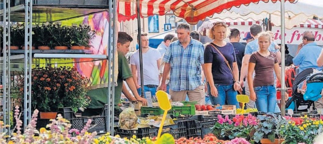 Selbstverständlich gehören auch Pflanzen zum Angebot des Marktredwitzer Bartholomäus- Jahrmarktes. Auch die Geschäfte haben an diesem Sonntag von 12.30 bis 17.30 Uhr geöffnet. Fotos: Stadt Marktredwitz Selbstverständlich gehören auch Pflanzen zum Angebot des Marktredwitzer Bartholomäus- Jahrmarktes. Auch die Geschäfte haben an diesem Sonntag von 12.30 bis 17.30 Uhr geöffnet. Fotos: Stadt Marktredwitz