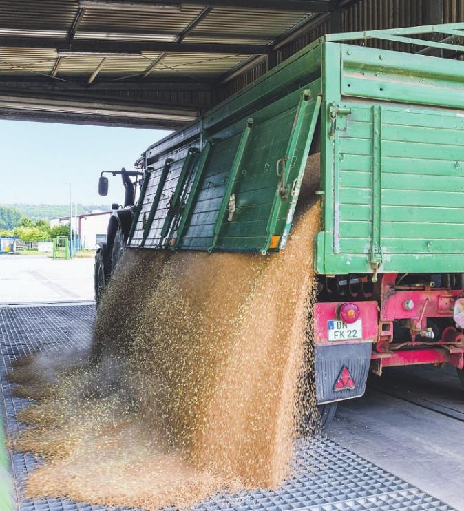 In der Landwirtschaft sind Genossenschaften nicht mehr wegzudenken Bild: Juliane Herrmann In der Landwirtschaft sind Genossenschaften nicht mehr wegzudenken Bild: Juliane Herrmann