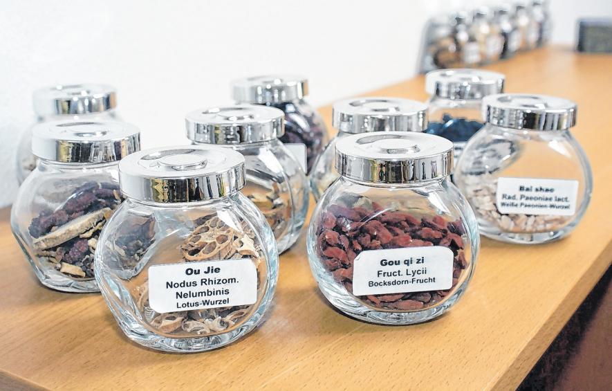 Begleitung schulmedizinischer Therapien - Havelland - Märkische Oderzeitung