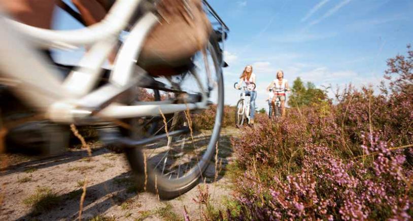 Die Nordheide-Region bietet herrliche Fahrradwege Foto: Lüneburg Tourismus
