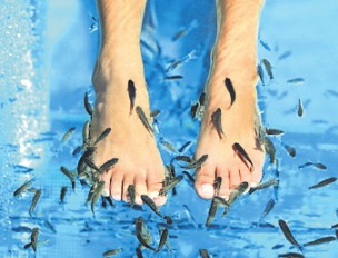 Ein solches Fußbad ist eine kitzelige Angelegenheit. Foto: Maridav/stock.adobe.com Ein solches Fußbad ist eine kitzelige Angelegenheit. Foto: Maridav/stock.adobe.com