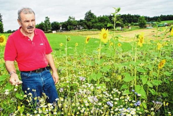 Imker Karl Stapf entführt interessierte Gäste beim Tag der offenen Gartentür in das Reich der Bienen. Drei Hektar Bienenweide hat Landwirt Hermann Hümmer in Privatinitiative im vergangenen Jahr rund um den Ort angesät. FOTO SABINE WEINBEER