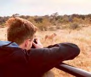 Tierische Begegnung: Gladbachs Patrick Herrmann beobachtete auf Safari in Südafrika einen Löwen.