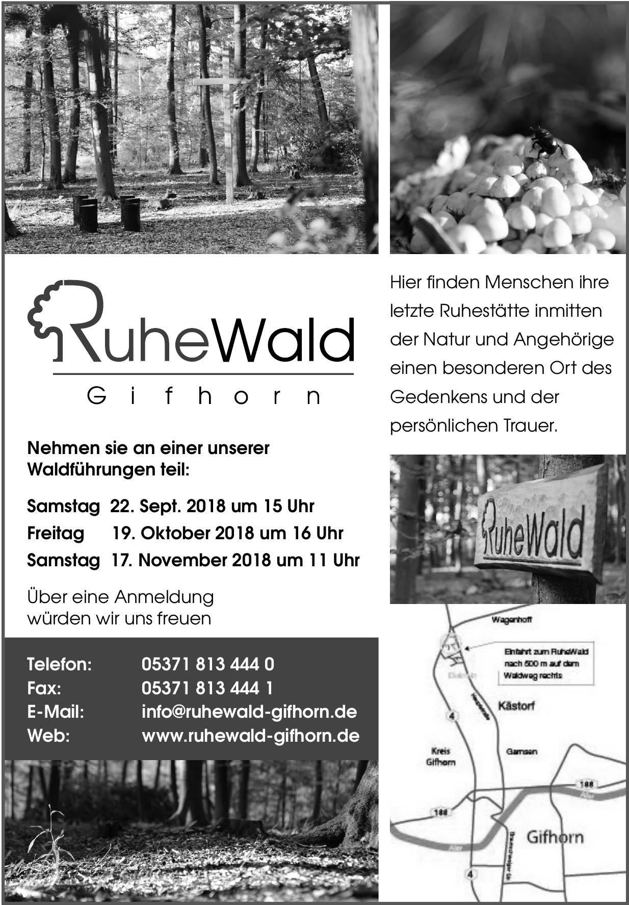 Ruhe Wald Gifhorn