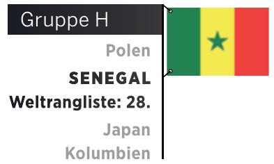 Senegal bei der Fußball-WM 2018: Quali am grünen Tisch Image 2