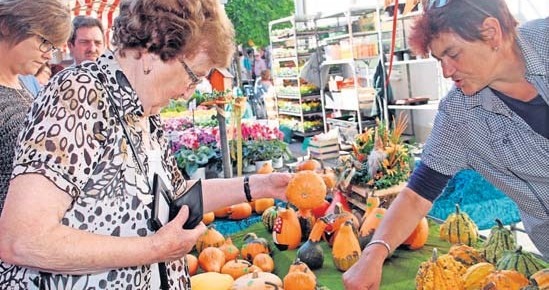 Schön bunt – etwas fürs Auge. Fotos: Gerda Völk Schön bunt – etwas fürs Auge. Fotos: Gerda Völk