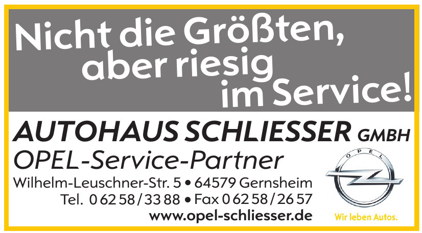 Autohaus Schliesser GmbH Autohaus Schliesser GmbH