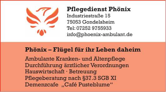 Pflegedienst Phönix