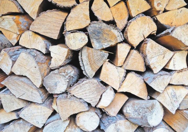 Heimische Hölzer für gemütliche Kamin-Abende - Bauen & Wohnen