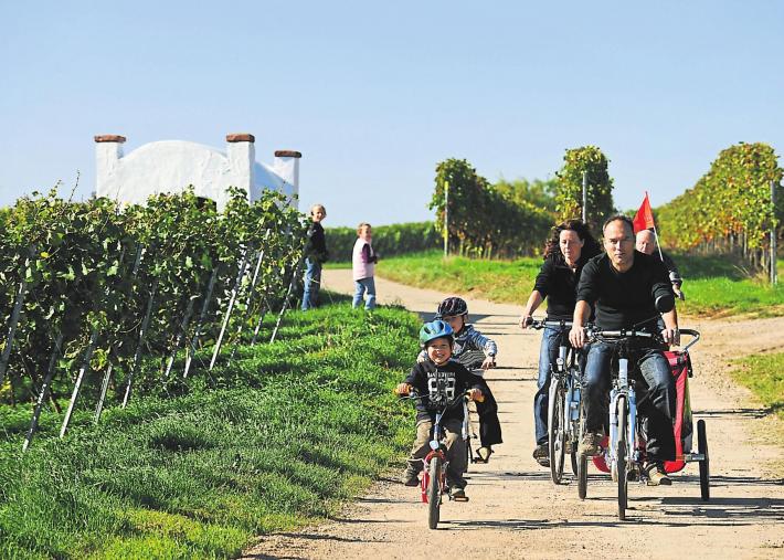 Vermietstationen für EBikes in Rheinhessen Naheland