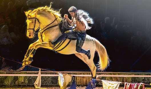  Barclay Card Arena Hamburg: Pferdeshow Cavalluna 2023 Motiv 