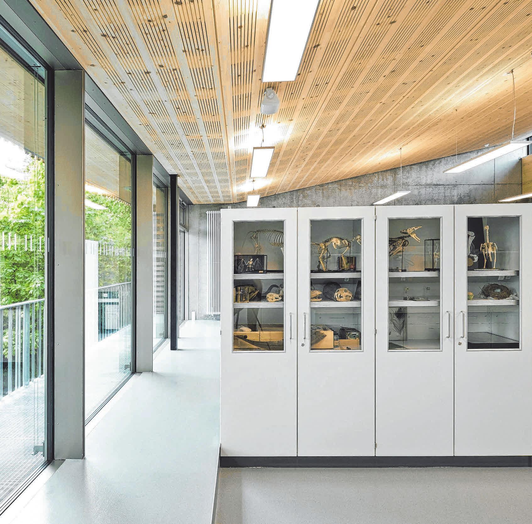 Im neuen Fachklassentrakt gibt es zwei Vorbereitungsräume. FOTOS: LIEBEL/ARCHITEKTEN, MELANIE SCHIELE Im neuen Fachklassentrakt gibt es zwei Vorbereitungsräume. FOTOS: LIEBEL/ARCHITEKTEN, MELANIE SCHIELE
