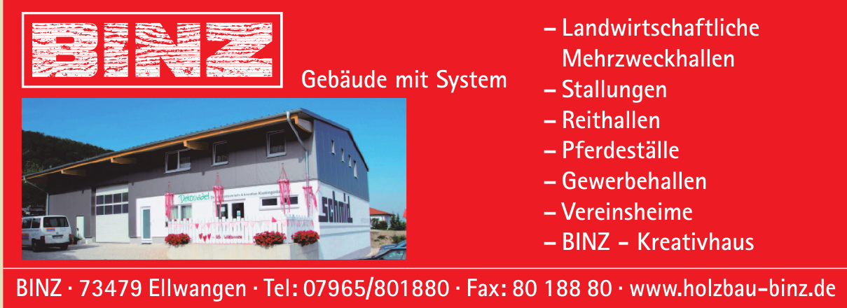 Holzbau Binz Holzbau Binz